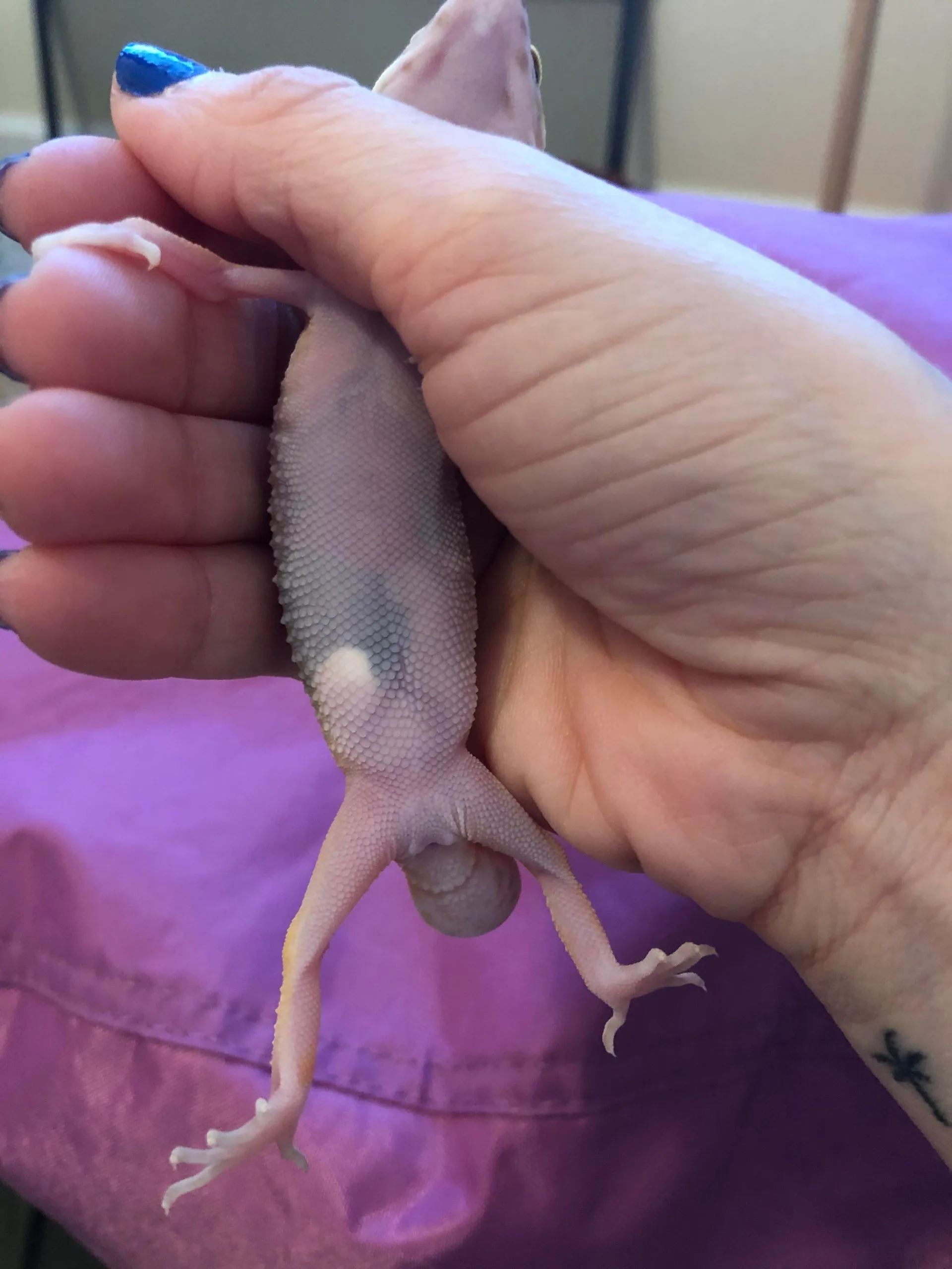 684822fc5b7449799ccb45f5ff84dd09 scaled 684822fc5b7449799ccb45f5ff84dd09 scaled