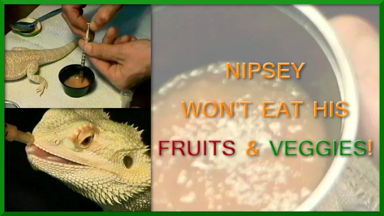 c7f74785e91840c69bdaca302b1b8450 c7f74785e91840c69bdaca302b1b8450